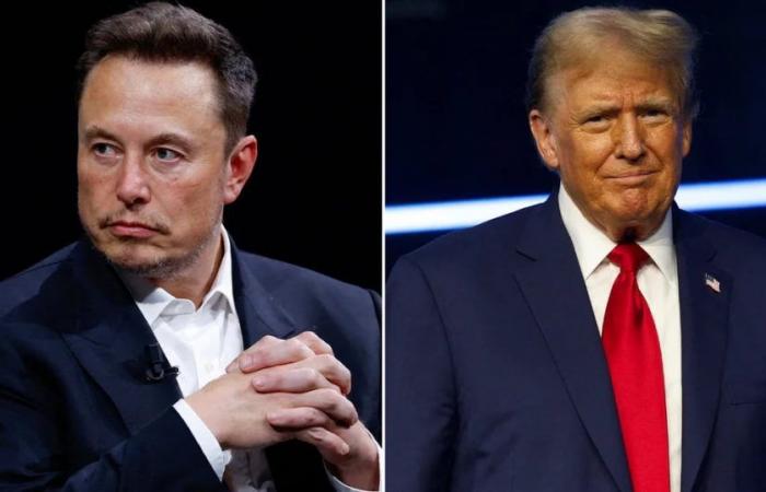 Elon Musk revealed details of his relationship with Donald Trump