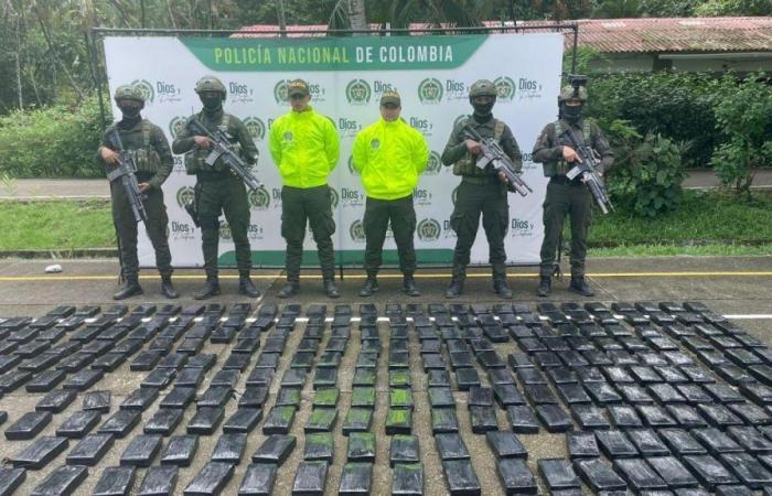 Colombian police seized 500 kilos of pure cocaine from ‘invisible drug trafficker’, partner of the ‘Gulf clan’