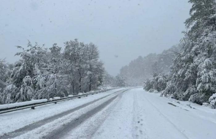 Alert for heavy snowfall in Neuquén