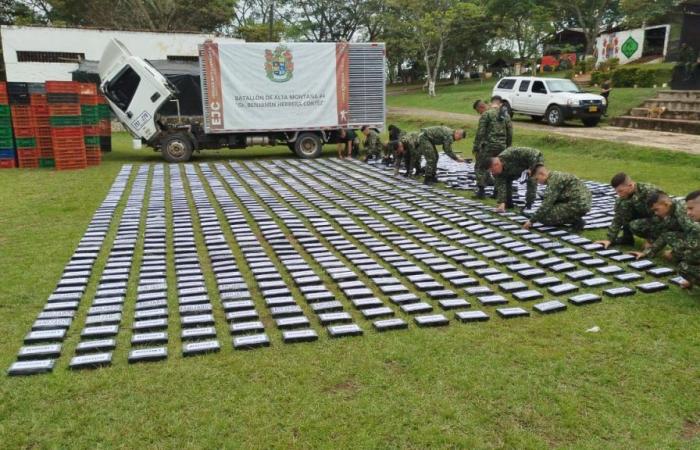 They seize more than a ton of cocaine in an operation in El Cauca