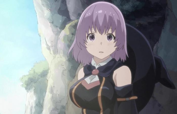 Will there be a sequel to Grimgar of Fantasy and Ash? —Kudasai