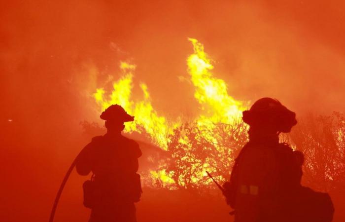 A wildfire devastates thousands of hectares north of Los Angeles and causes the evacuation of 1,200 people