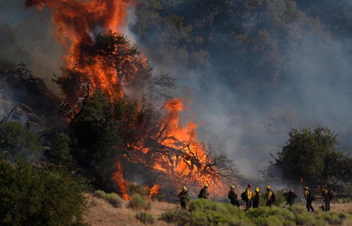 Large area of ​​vegetation in Los Angeles is destroyed by fire