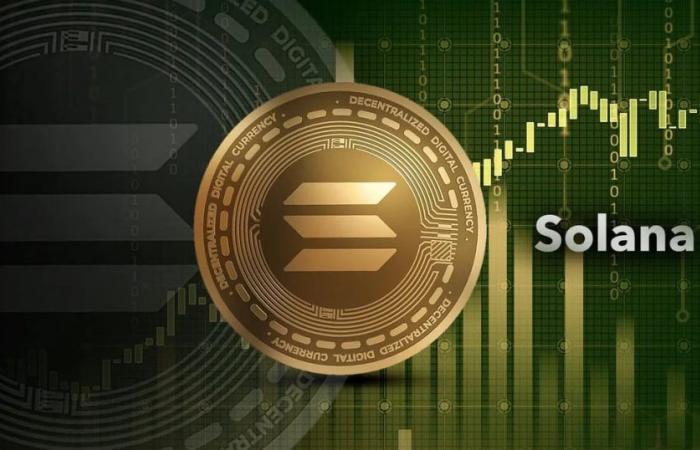 The rise and fall of solana: what is its value this June 16