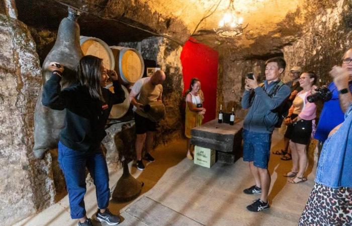 Wine tourism generates 62 million in the wineries and another 124 million in the territory