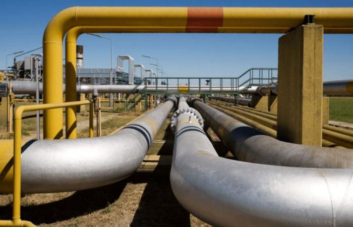 Enarsa and Bolivia agree to continue gas supply for seven Argentine provinces