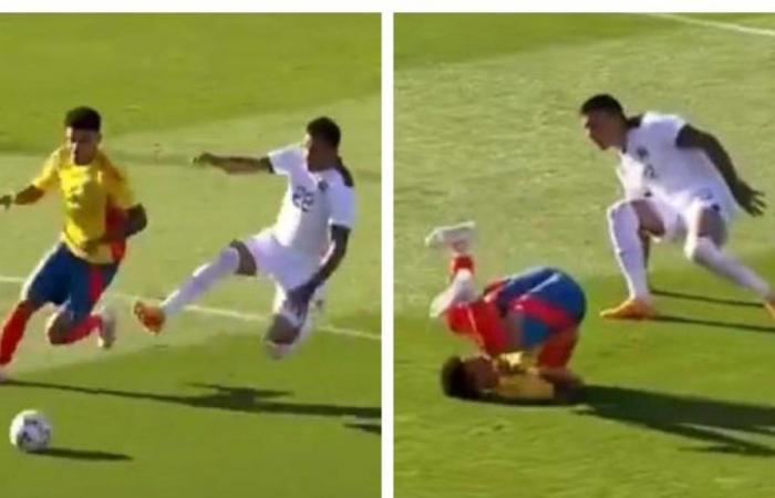 violent foul against Luis Díaz made the entire Colombian National Team tremble, video