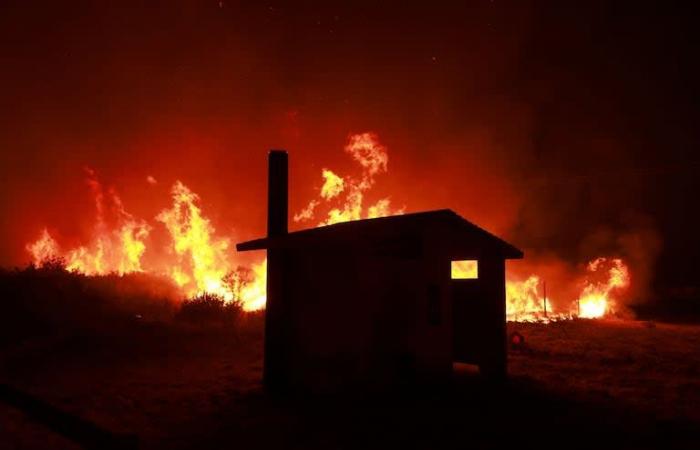A wildfire devastates thousands of hectares north of Los Angeles and causes the evacuation of 1,200 people