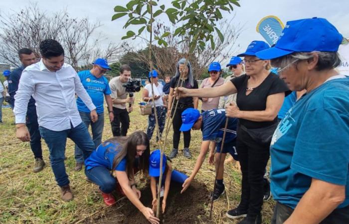 Planting 2,000 trees will give new lung to San José
