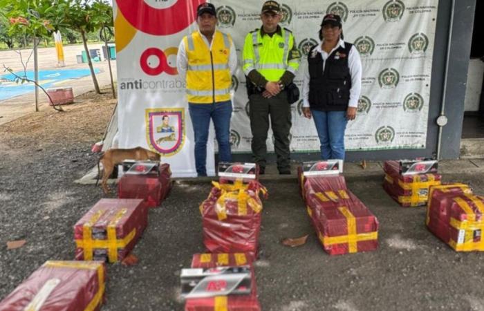 Córdoba authorities hit cigarette smuggling again