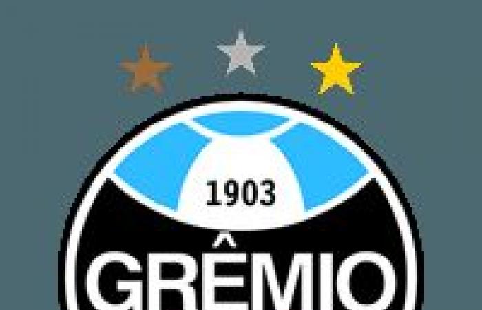 ◉ Grêmio vs. Botafogo live: I followed the game minute by minute