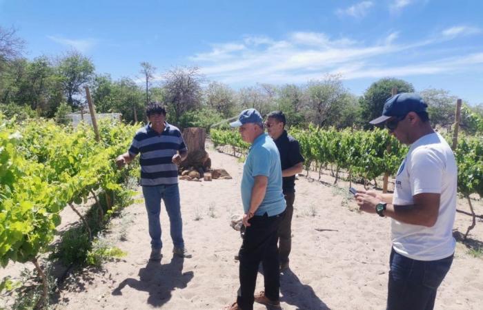 UCN students advise premium wine producers in the town of Toconao