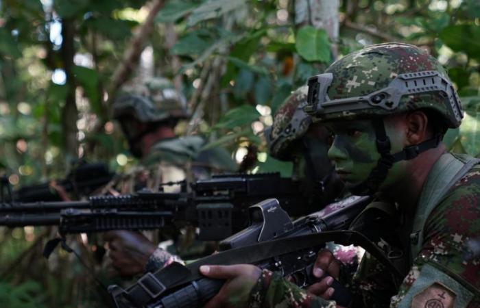 Fear in Caldono, Cauca, due to fighting between the Army and FARC dissidents