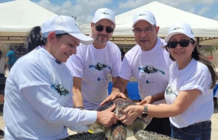 Multinational commemorates World Sea Turtle Day