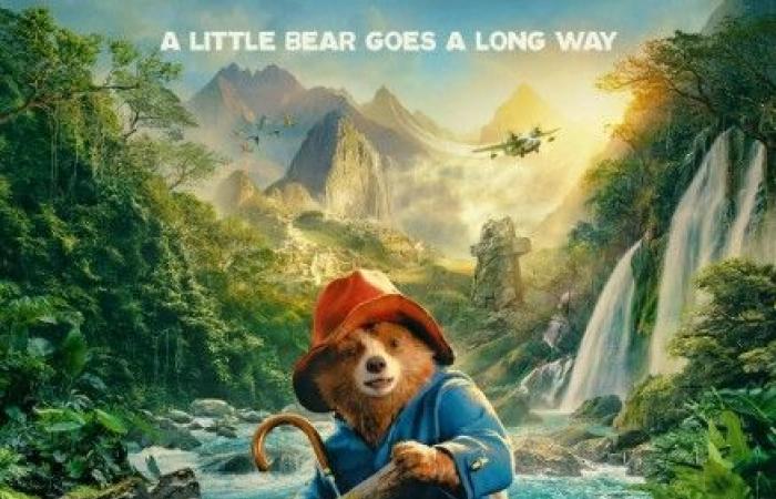 synopsis, cast, release date and everything you need to know about the return of the most adorable bear