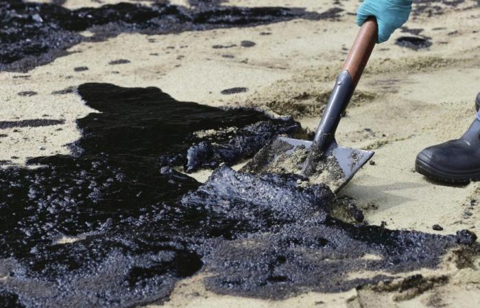 Singapore cleans up oil spill caused by dredger hitting oil tanker