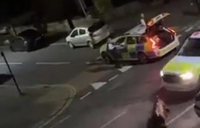 Video: a police officer purposely ran over a cow twice and was suspended