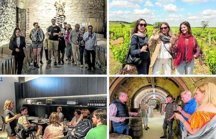 Four success stories in wine tourism in La Rioja