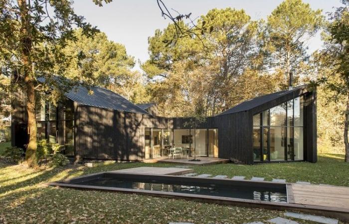 House in the Trees / OECO Architectes