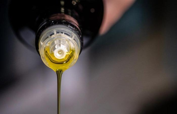 An olive oil expert explains if it is really good for your health