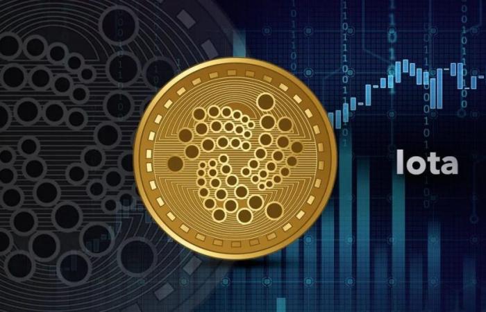 The rise and fall of iota: what is its price this June 16