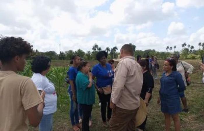 Article: The FMC in Matanzas with women landowners in usufruct
