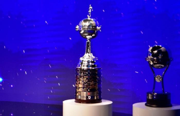 How are the 8 FPC quotas for Libertadores and Sudamericana 2025 defined?