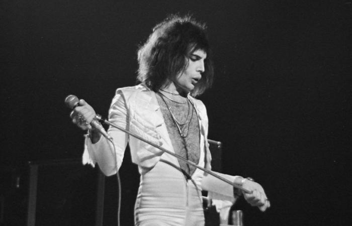 What Freddie Mercury worked on before shining with Queen