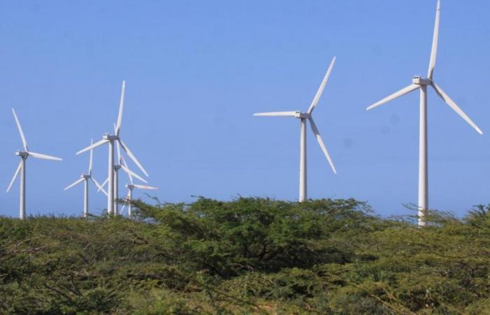 With Colectora’s environmental license, more than 1,000 MW of wind energy can be connected to the national grid
