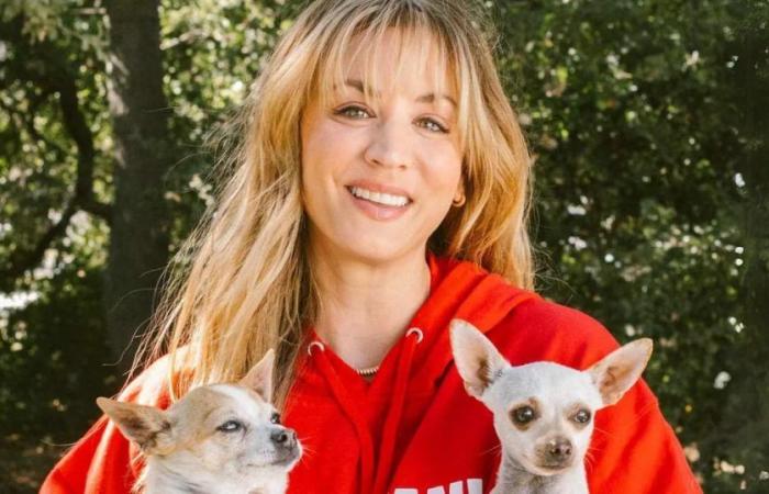 Kaley Cuoco is looking for an assistant dog and offers $10,000 a year in salary