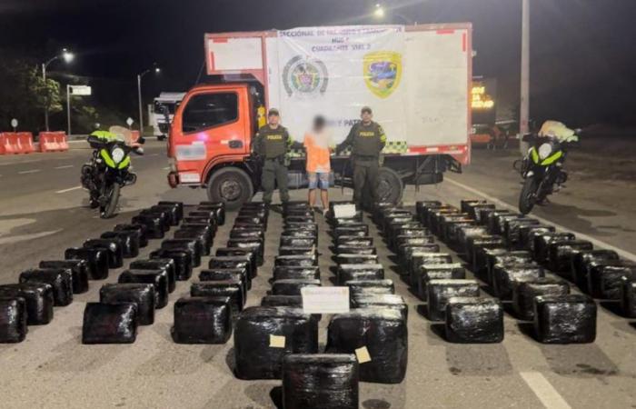 One person captured and 528 kilos of marijuana seized on the Neiva-Bogotá highway