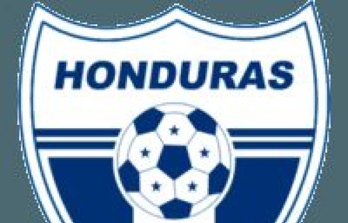 Ecuador vs. Honduras, for an International Friendly: time, formations and live TV