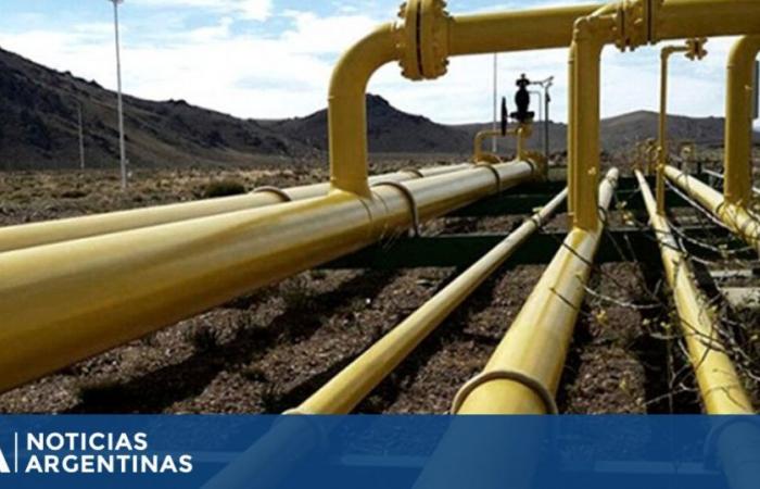 Enarsa agreed with Bolivia to continue the supply of gas to supply the demand in the north of the country