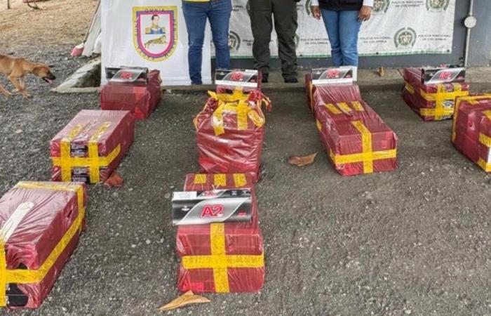 They seize a shipment of contraband cigarettes in Córdo