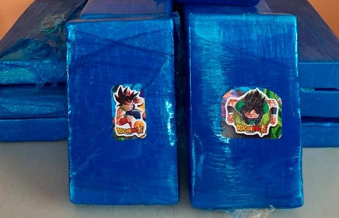 They arrest a woman carrying packages of cocaine with Dragon Ball stickers in Calama