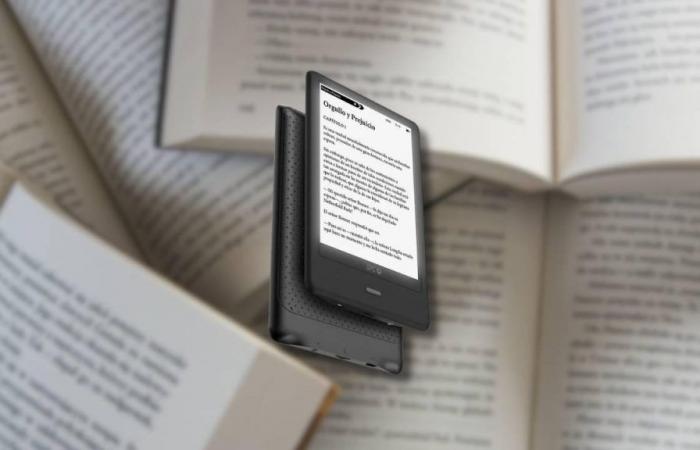 This eBook holds 8,000 books, weighs only 200 grams and is at an outlet price at MediaMarkt