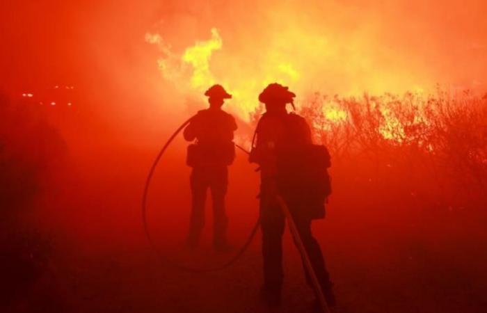 Fire in Los Angeles County consumed more than 5,600 hectares