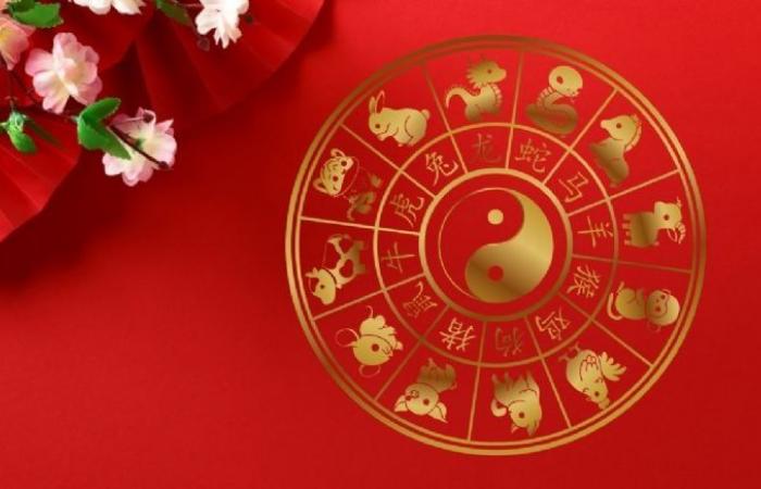 Chinese Horoscope: 3 animals that will achieve their dreams by acting prudently between June 16 and 24, 2024