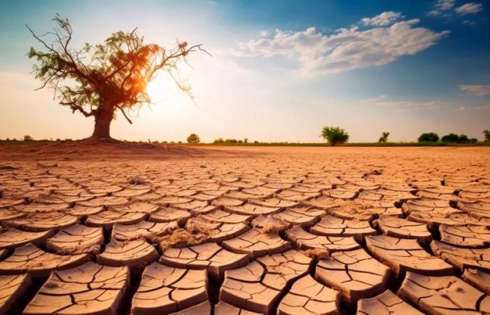 What are the challenges facing Argentina and Latin America in the face of increasing droughts?