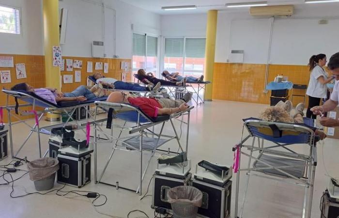 CÓRDOBA HOSPITALS BLOOD PLASMA | Córdoba hospitals will require more than 7,500 donations of blood and plasma