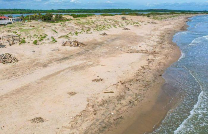 Comprehensive plan underway for Punta Astilleros, eighth best beach in the world
