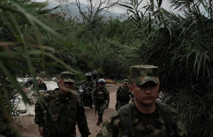 Banditas, gangs and bandotas: urban violence bleeds Cúcuta