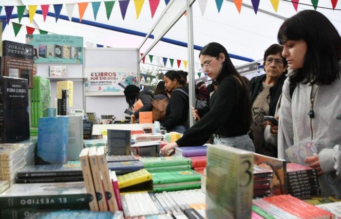Second version of the Winter Reader Festival 2024: The Plaza de Maipú is filled with books and activities during the winter holidays