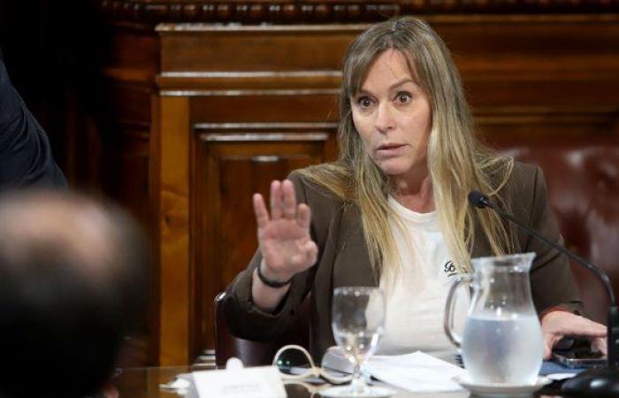 Juliana Di Tullio requested the expulsion of Scioli, Kueider and Espínola from the Justicialista Party