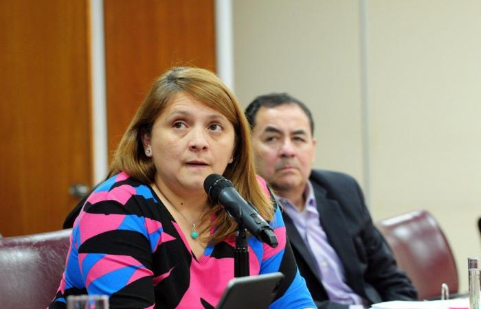The debate over the state of the aqueducts operated by the EPAS reached the Neuquén Legislature