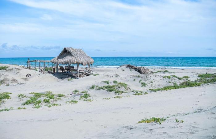Comprehensive plan underway for Punta Astilleros, eighth best beach in the world