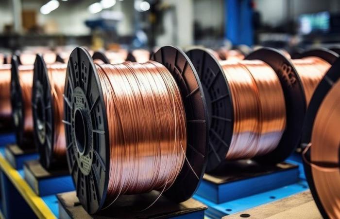 They investigate disappearance of shipment of Russian copper in Chinese company