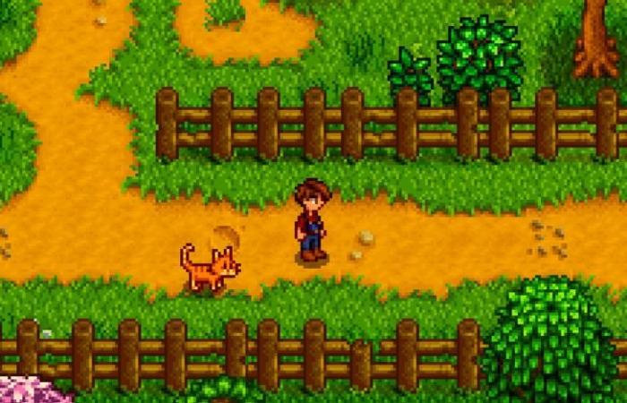 Stardew Valley player falls asleep on the floor because his pet won’t let him get to his bed, but the community offers him a solution