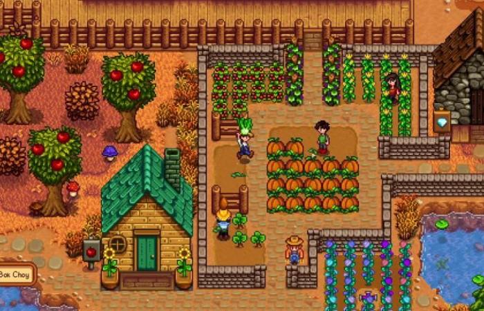 Stardew Valley player falls asleep on the floor because his pet won’t let him get to his bed, but the community offers him a solution