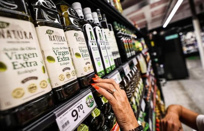 CORDOBA EXPORTS | Exports grow 17% until April in Córdoba due to the push for olive oil